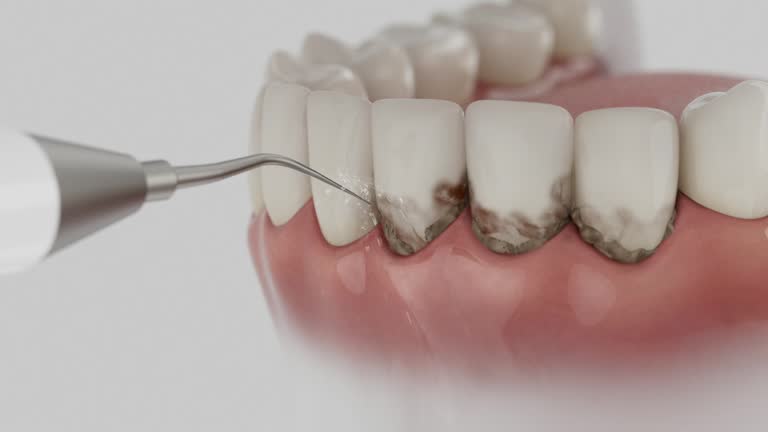 Reliable Dental contractor in New Orleans Station, LA by Dentist Open Now